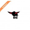Big