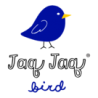 Jaq Jaq Bird